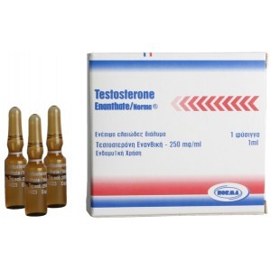 Testosterone Enanthate Norma Hellas 1ml amp [250mg/1ml] 1