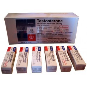 Testosterone Enanthate Germany Rotexmedica 1ml amp [250mg/1ml] 1