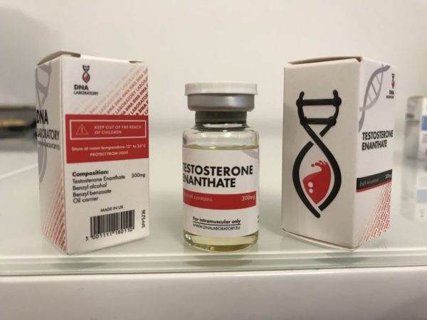 Testosterone Enanthate DNA labs 10ml [250mg/ml] 1
