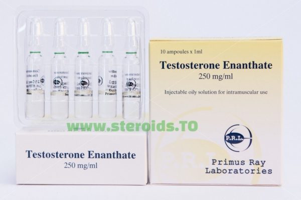 Testosterone Enanthate Primus Ray Labs 10X1ML [250mg/ml] 1